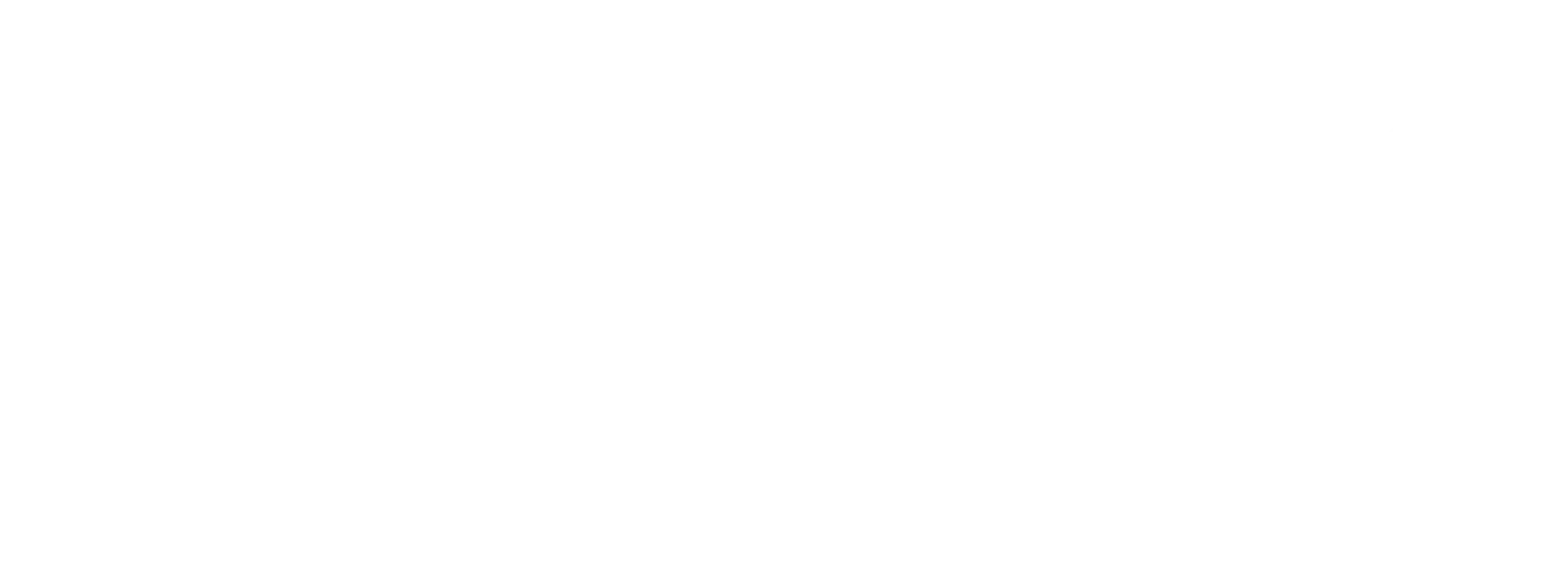 logoWhite